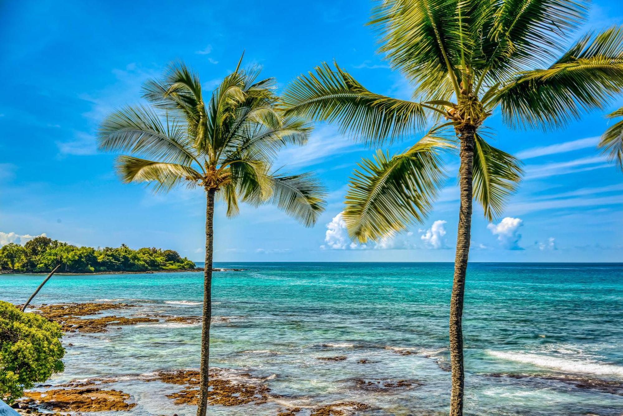 Hotel Kona Bali Kai #334 Kailua-Kona Zewnętrze zdjęcie